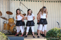 Schulfest12 246