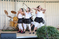 Schulfest12 252