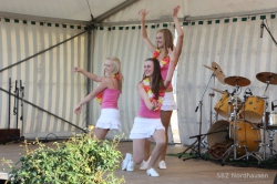 Schulfest12 229