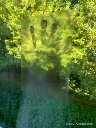 20250624 090649